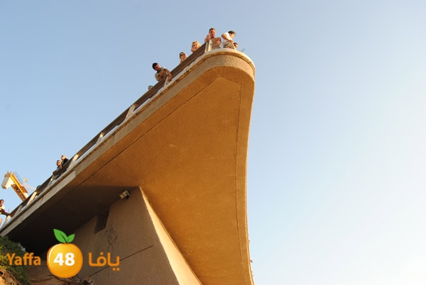 fallen from above 811 (4).JPG